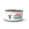 Royal Canin Veterinary Diet Glycoadvanced Wet Cat Food for Diabetic Cats - 5.1 oz Can - Case of 24