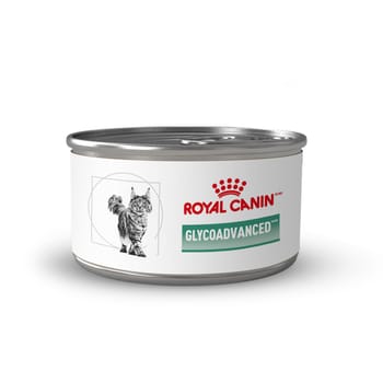 Royal Canin Veterinary Diet Glycoadvanced Wet Cat Food for Diabetic Cats - 5.1 oz Can - Case of 24-product-tile