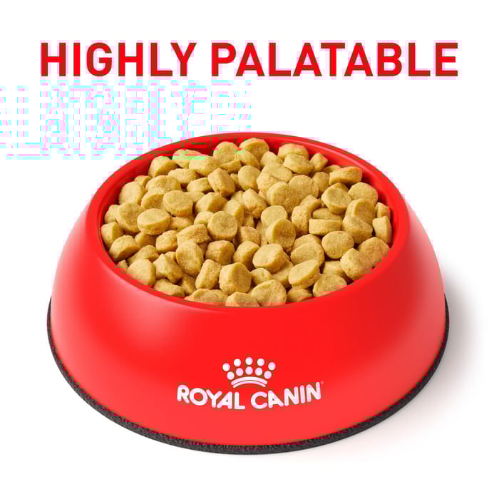 68474 product detail number 1.0