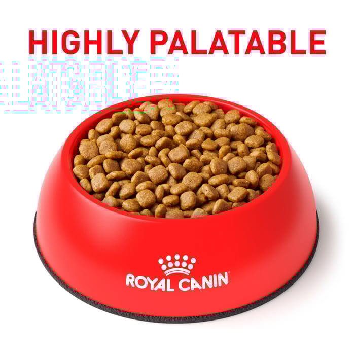 68493 product detail number 1.0