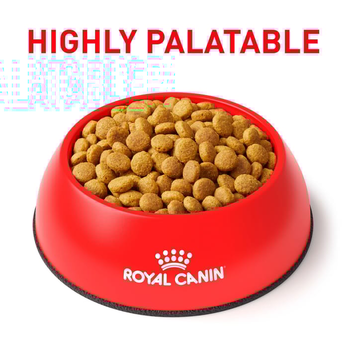 68496 product detail number 1.0