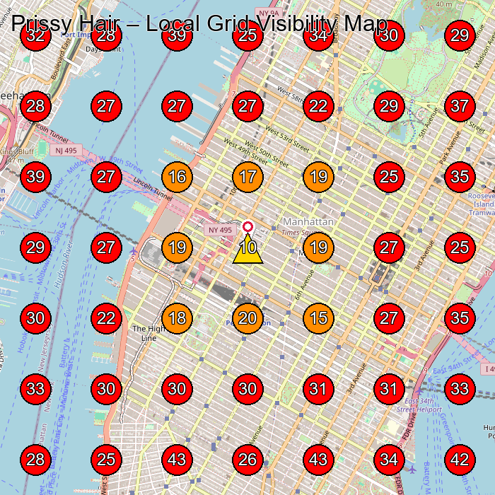 Prissy Hair GeoGrid visibility map for Beauty Salon in New York