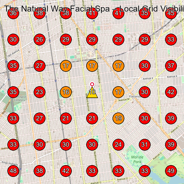 The Natural Way Facial Spa GeoGrid visibility map for Facial Spa in Brooklyn
