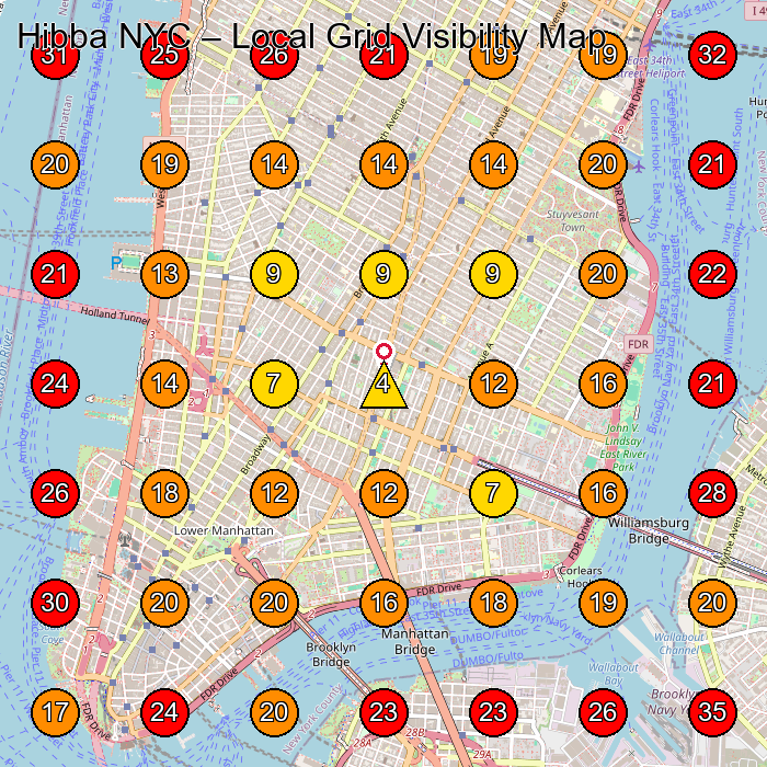 Hibba NYC GeoGrid visibility map for Skin Care Clinic in New York