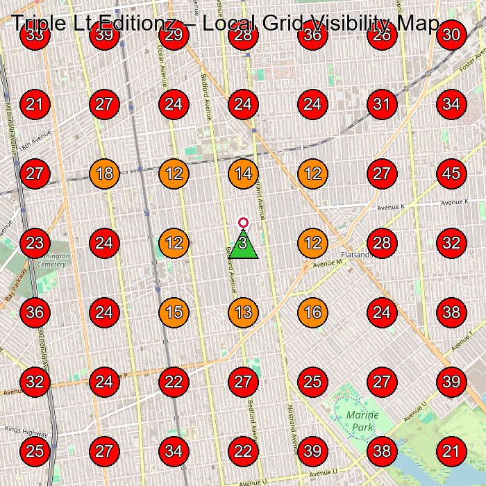 Triple Lt Editionz GeoGrid visibility map for Hair Salon in Brooklyn