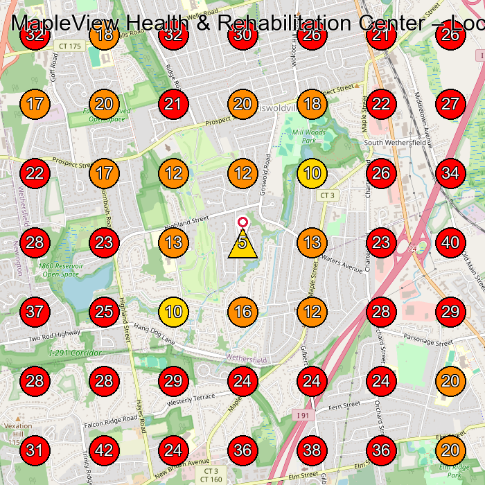MapleView Health & Rehabilitation Center GeoGrid visibility map for Consignment Shop in Newington