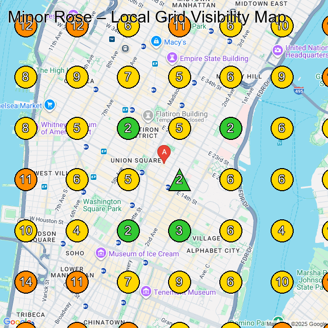 Minor Rose GeoGrid ranking map for Hair Salon in New York