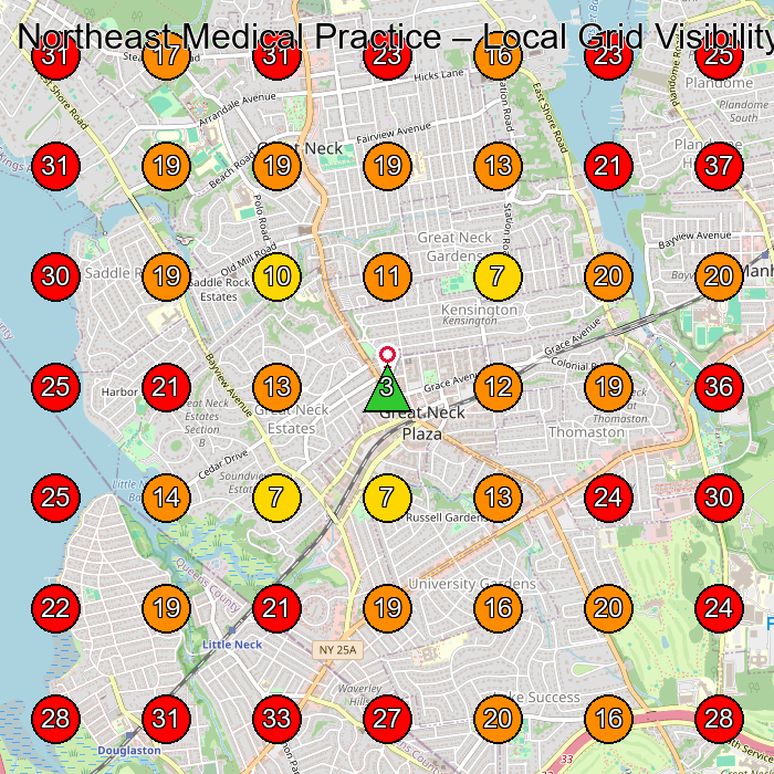 Northeast Medical Practice GeoGrid visibility map for Medical Spa in Great Neck