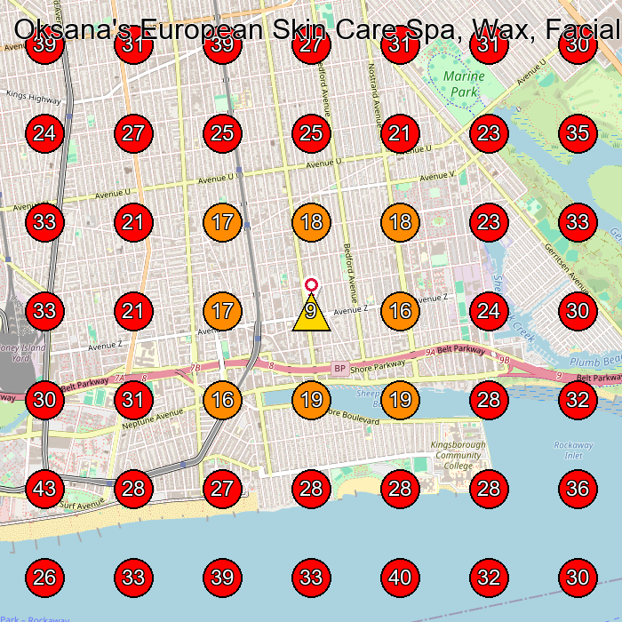 Oksana's European Skin Care Spa, Wax, Facial, Massage GeoGrid visibility map for Facial Spa in Brooklyn