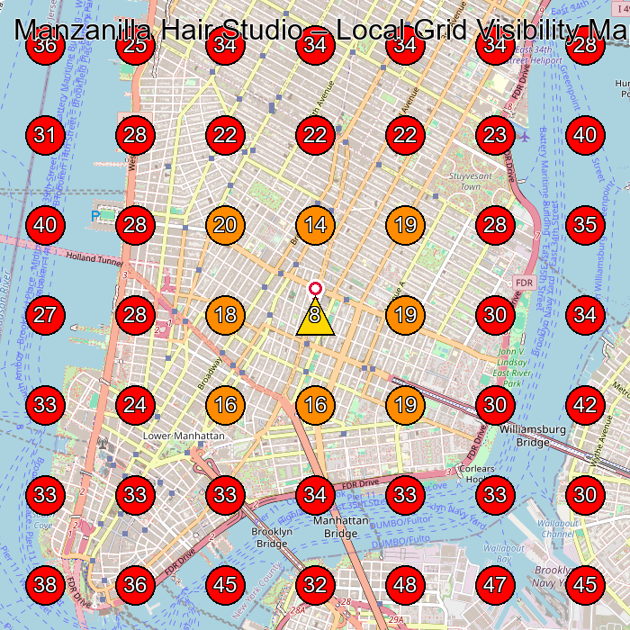 Manzanilla Hair Studio GeoGrid visibility map for Hair Salon in New York