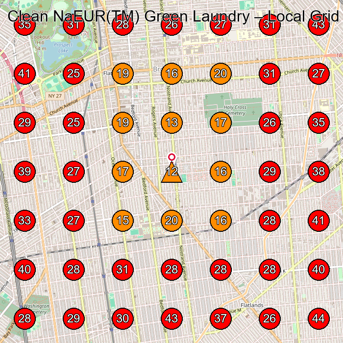 Clean NaEUR(TM) Green Laundry GeoGrid visibility map for Laundry Service in Brooklyn
