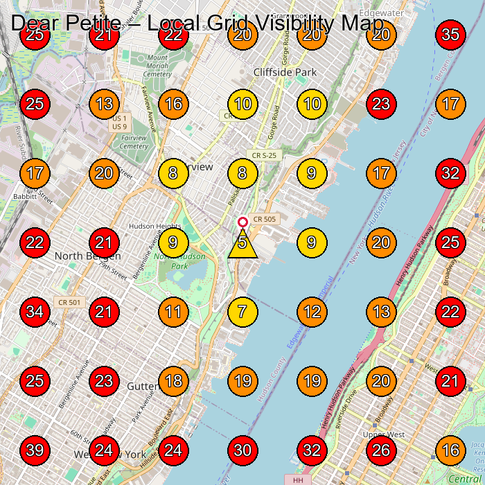 Dear Petite GeoGrid visibility map for Women'S Clothing Store in Cliffside Park