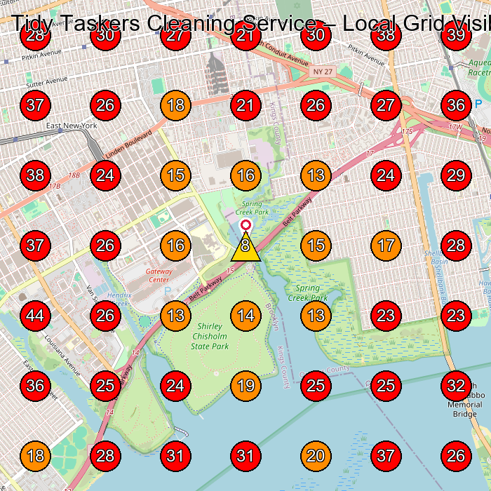 Tidy Taskers Cleaning Service GeoGrid visibility map for Laundry Service in Brooklyn