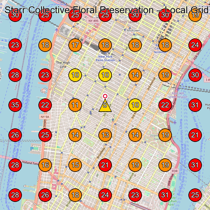 Starr Collective Floral Preservation GeoGrid visibility map for Gift Shop in New York