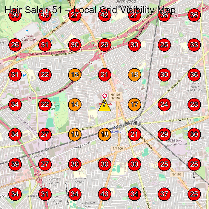 Hair Salon 51 GeoGrid visibility map for Hair Salon in Plainview