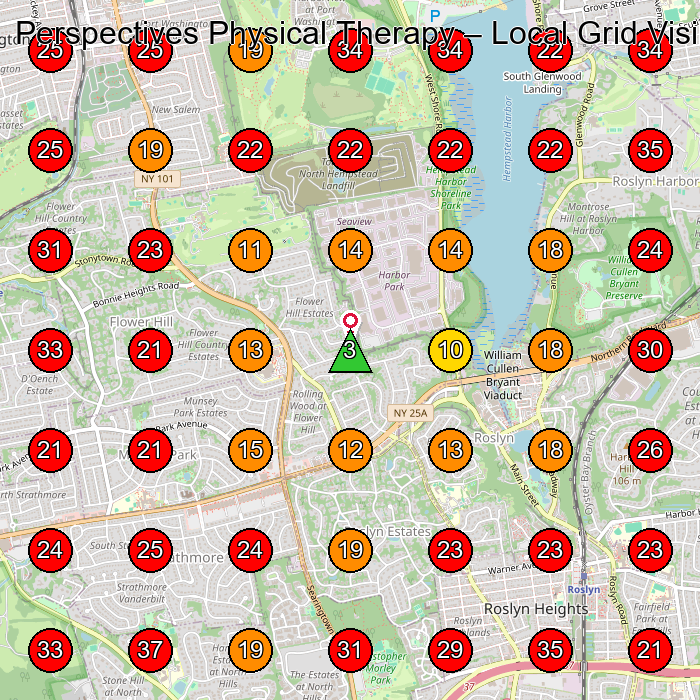Perspectives Physical Therapy GeoGrid visibility map for Physical Therapist in Roslyn Heights