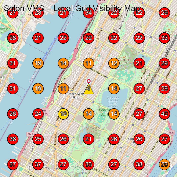 Salon VMS GeoGrid visibility map for Hair Salon in New York