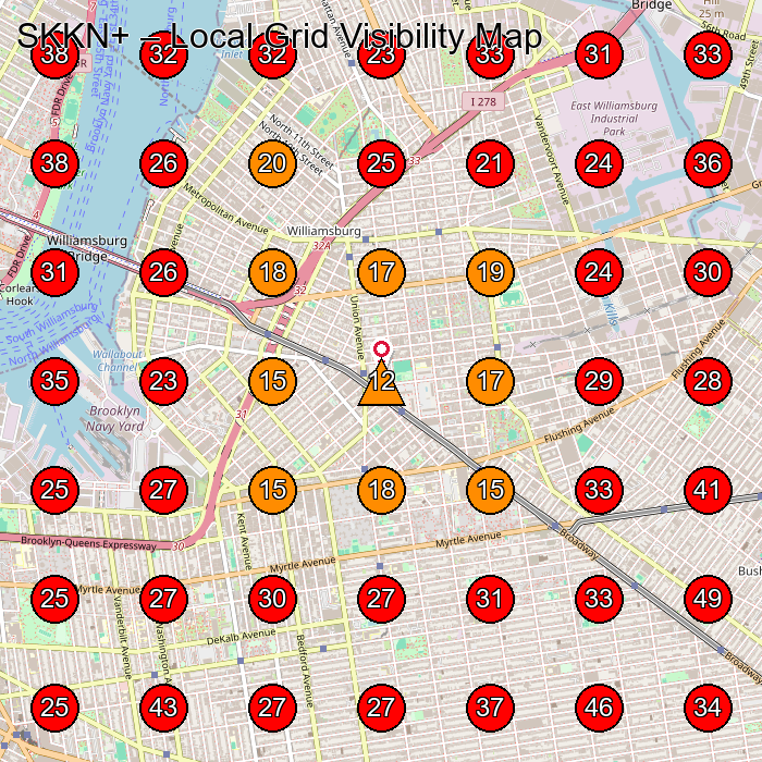 SKKN+ GeoGrid visibility map for Medical Spa in Brooklyn