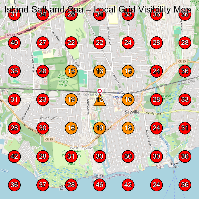 Island Salt and Spa GeoGrid visibility map for Day Spa in Bayport