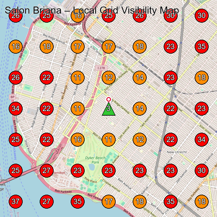 Salon Briana GeoGrid visibility map for Beauty Salon in Brooklyn