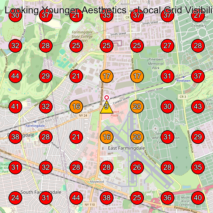 Looking Younger Aesthetics GeoGrid visibility map for Wellness Center in Farmingdale