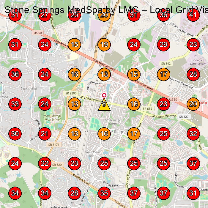 Stone Springs MedSpa by LMG GeoGrid visibility map for Nail Salon in Stone Ridge
