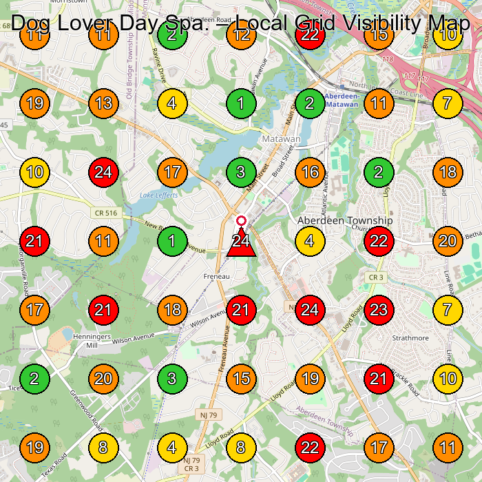 Dog Lover Day Spa. Pet Groomer GeoGrid ranking map for Matawan NJ