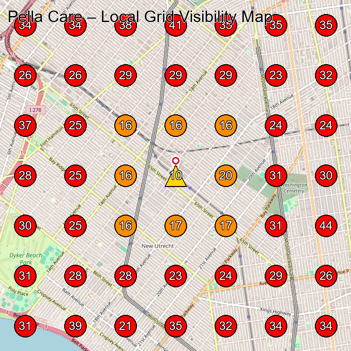 Pella Care GeoGrid visibility map for Home Health Care Service in Brooklyn