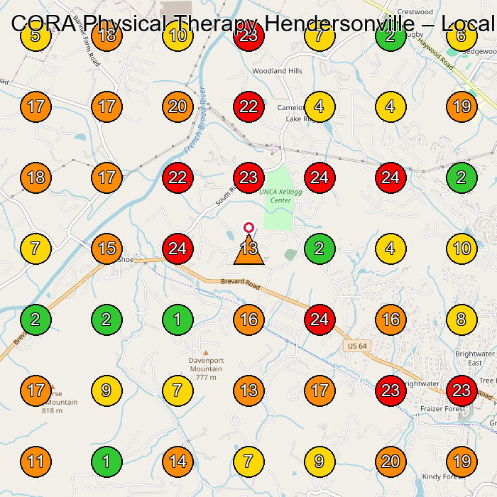 CORA Physical Therapy Hendersonville Physical Therapy Clinic GeoGrid ranking map for Hendersonville NC