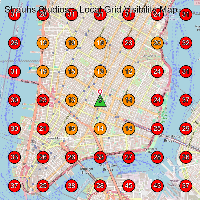 Strauhs Studios GeoGrid visibility map for Facial Spa in New York