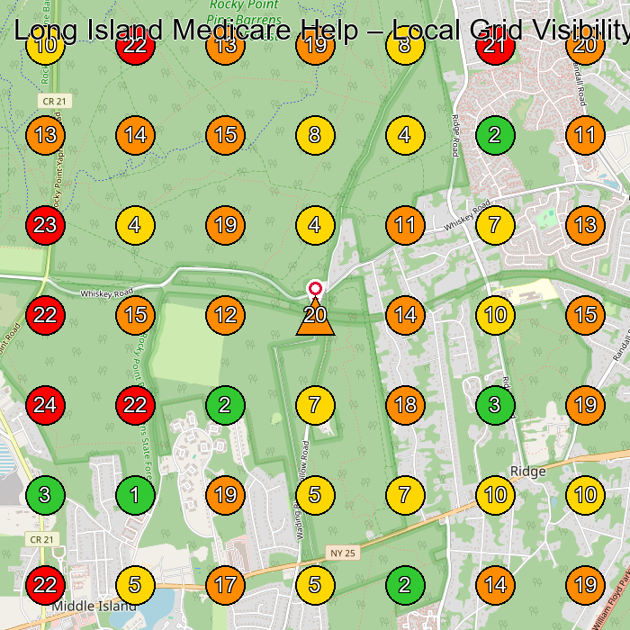 Long Island Medicare Help Health Insurance Agency GeoGrid ranking map for None