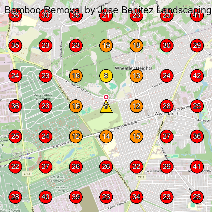 Bamboo Removal by Jose Benitez Landscaping Design GeoGrid visibility map for Landscaper in None
