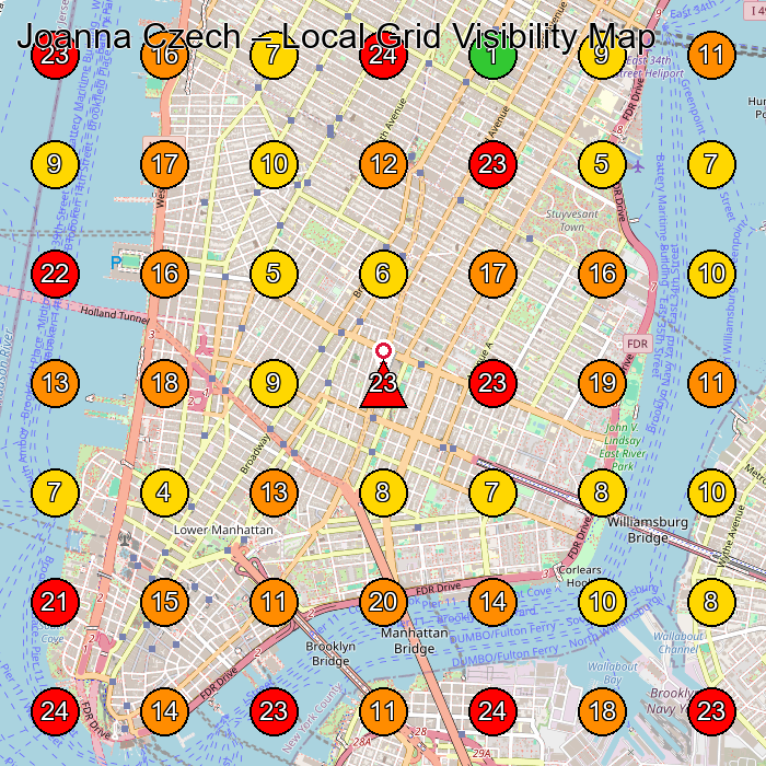 Joanna Czech Facial Spa GeoGrid ranking map for New York NY