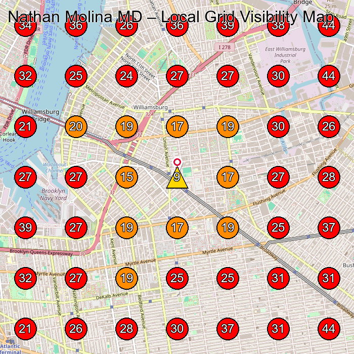 Nathan Molina MD GeoGrid visibility map for Medical Spa in Brooklyn