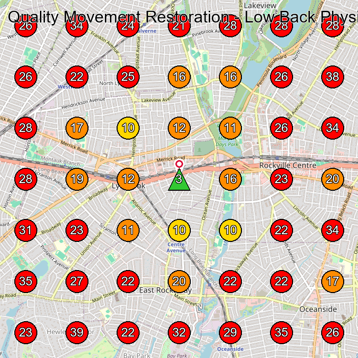 Quality Movement Restoration - Low Back Physical Therapy & Performance GeoGrid visibility map for Chiropractor in Lynbrook