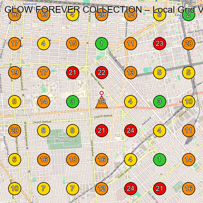GLOW FOREVER COLLECTION Women'S Clothing Store GeoGrid ranking map for Brooklyn NY