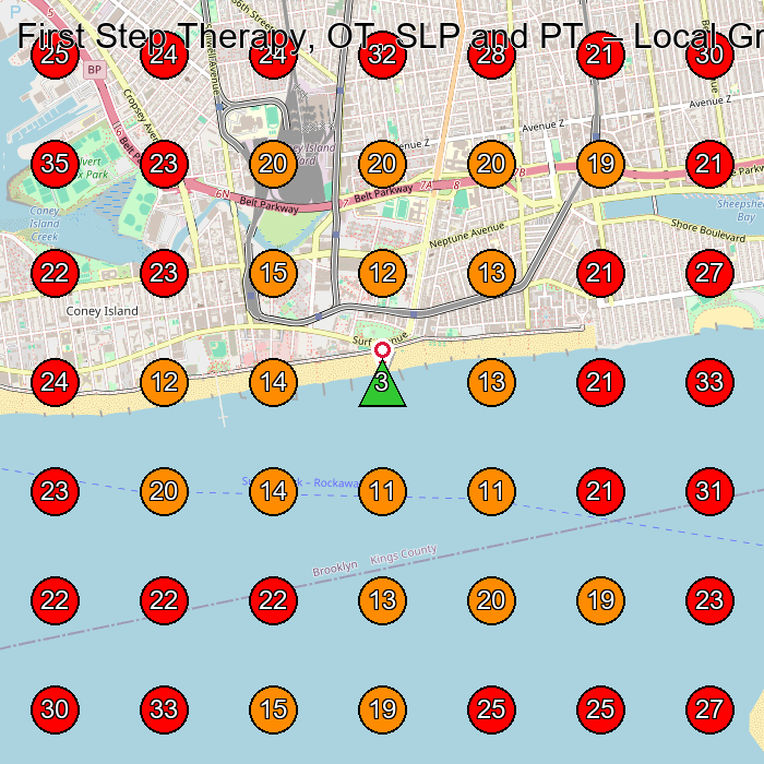First Step Therapy, OT, SLP and PT. GeoGrid visibility map for Physical Therapy Clinic in Brooklyn