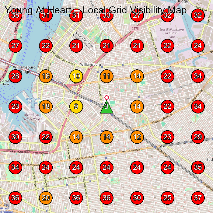 Young At Heart GeoGrid visibility map for Adult Day Care Center in 4310 52nd St