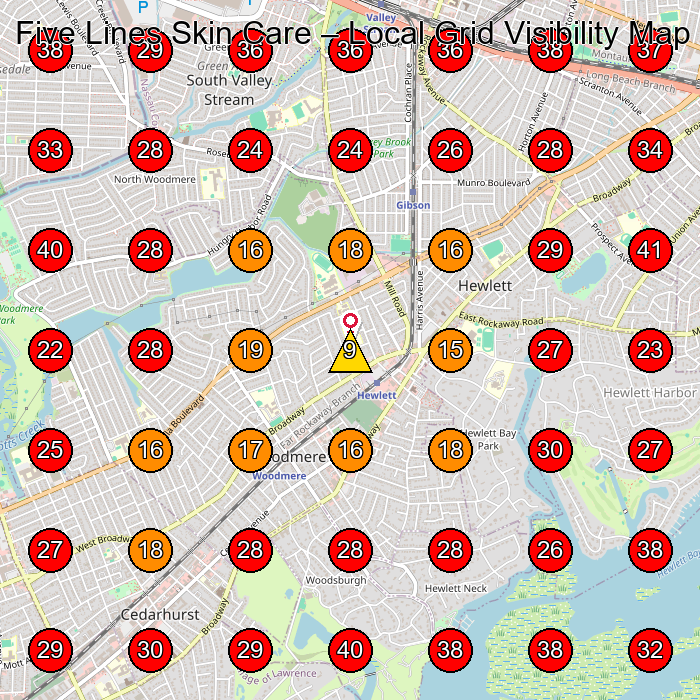 Five Lines Skin Care GeoGrid visibility map for Skin Care Clinic in Valley Stream