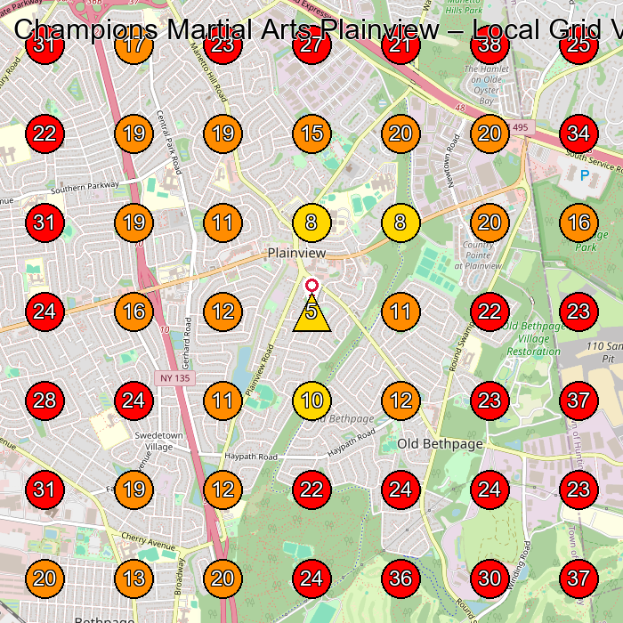 Champions Martial Arts Plainview GeoGrid visibility map for Cosmetics Store in Plainview