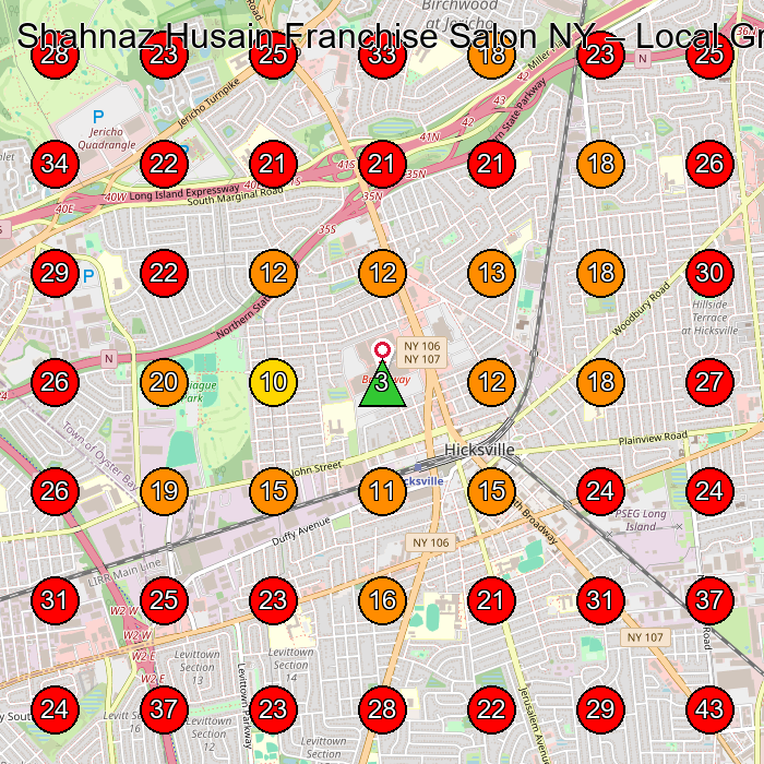 Shahnaz Husain Franchise Salon NY GeoGrid visibility map for Hair Salon in Plainview
