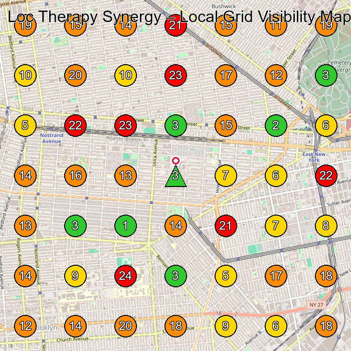 Loc Therapy Synergy Hair Salon GeoGrid ranking map for Brooklyn NY