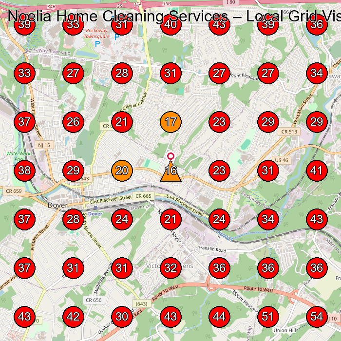 Noelia Home Cleaning Services GeoGrid visibility map for Constructor in Dover