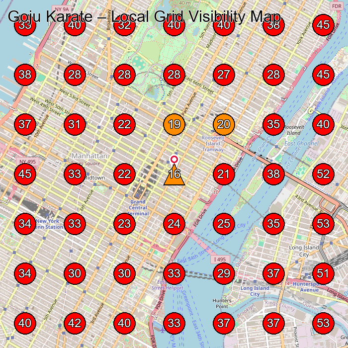 Goju Karate GeoGrid visibility map for Martial Arts School in New York