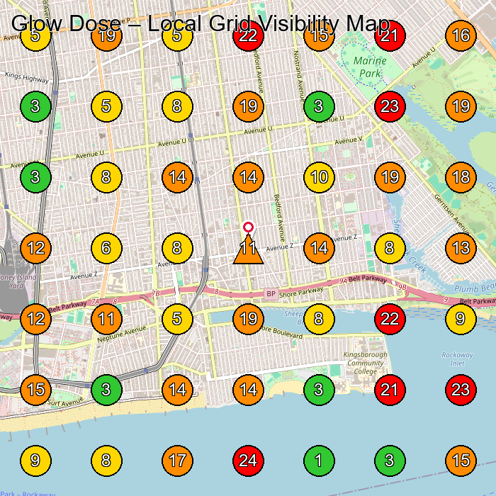Glow Dose Facial Spa GeoGrid ranking map for Brooklyn NY