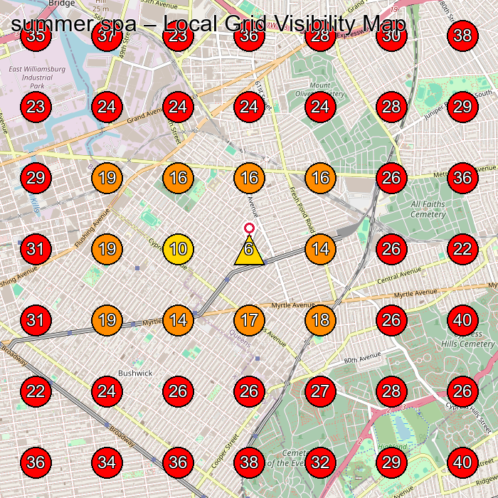 summer spa GeoGrid visibility map for Massage Spa in Brooklyn