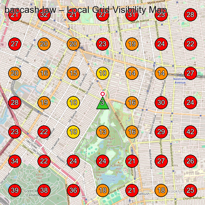baccash law GeoGrid visibility map for Legal Services in Brooklyn