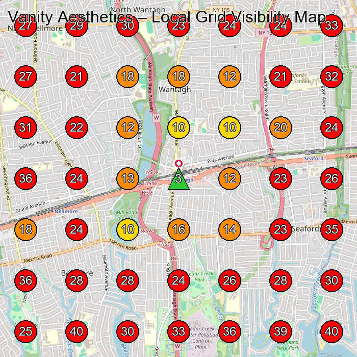 Vanity Aesthetics GeoGrid visibility map for Medical Spa in Wantagh
