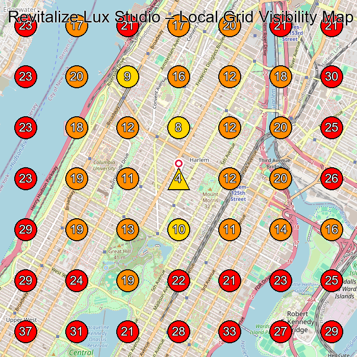 Revitalize Lux Studio GeoGrid visibility map for Beauty Salon in New York