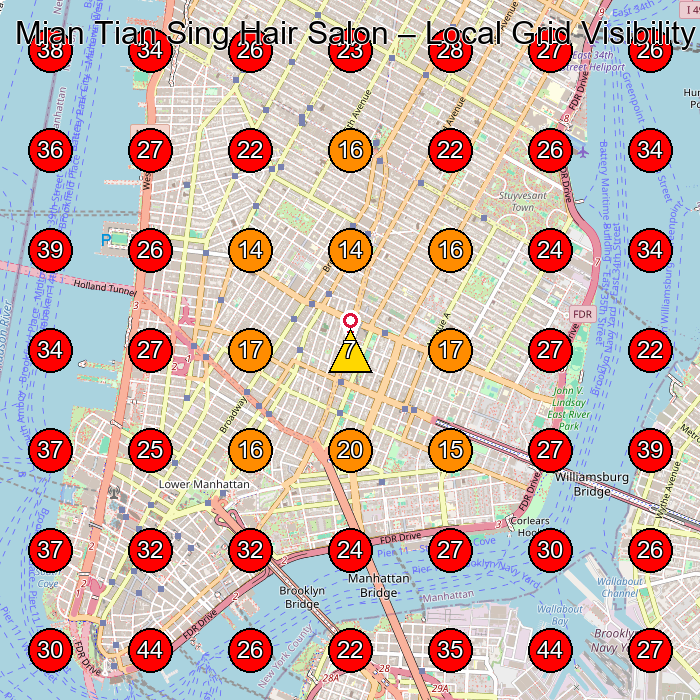 Mian Tian Sing Hair Salon GeoGrid visibility map for Day Spa in New York